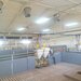 Vopsire hale industriale, sablare si curatare profesionala
